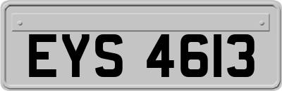 EYS4613
