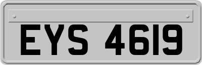 EYS4619