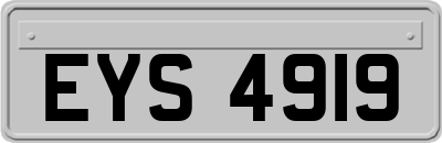 EYS4919