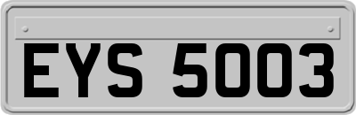 EYS5003