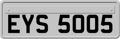 EYS5005