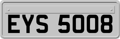 EYS5008