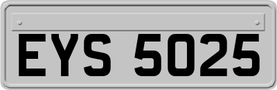 EYS5025