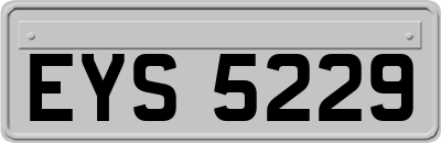 EYS5229