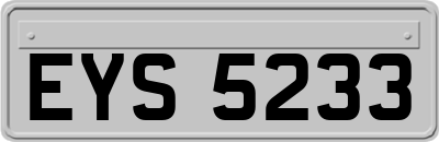 EYS5233