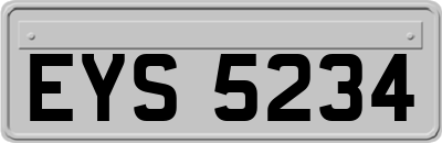 EYS5234