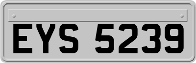 EYS5239