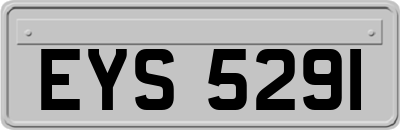 EYS5291