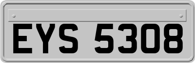 EYS5308