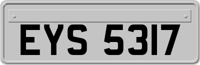 EYS5317
