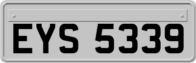 EYS5339