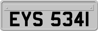 EYS5341