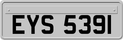 EYS5391