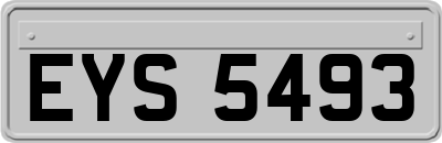 EYS5493