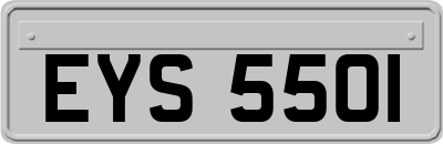 EYS5501