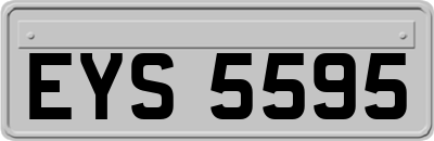 EYS5595