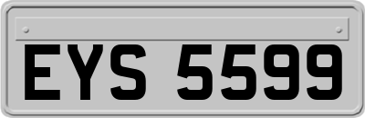 EYS5599