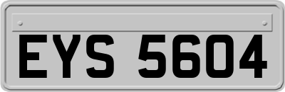 EYS5604