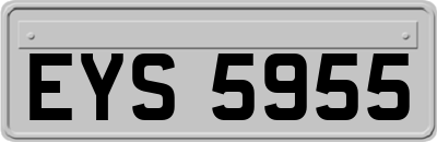 EYS5955