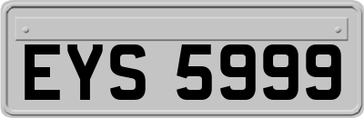 EYS5999