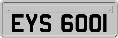 EYS6001