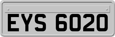 EYS6020