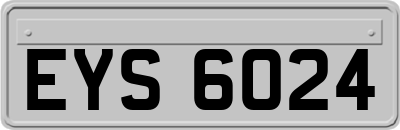 EYS6024