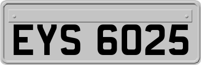 EYS6025