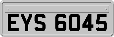 EYS6045