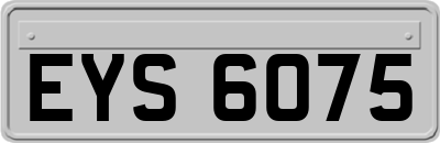 EYS6075