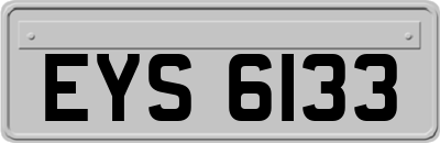 EYS6133
