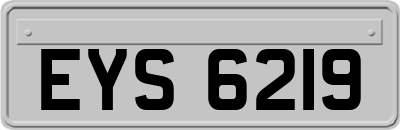 EYS6219