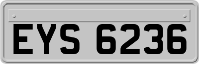 EYS6236