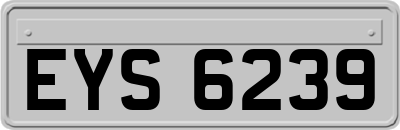 EYS6239
