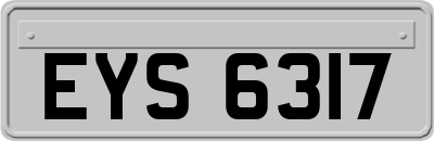 EYS6317