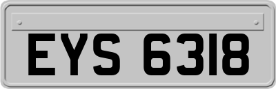 EYS6318
