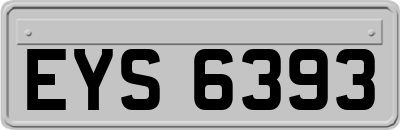 EYS6393