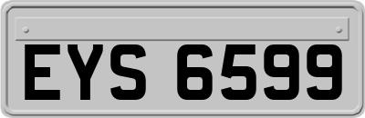 EYS6599