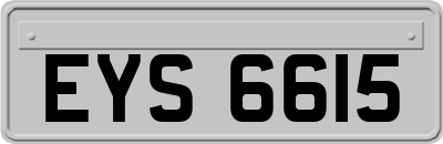 EYS6615
