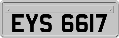 EYS6617