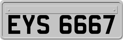 EYS6667