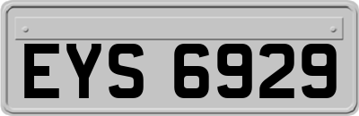 EYS6929