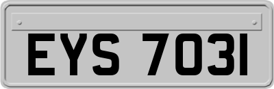EYS7031