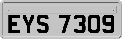 EYS7309