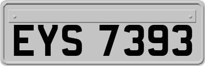 EYS7393
