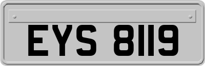 EYS8119