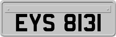 EYS8131