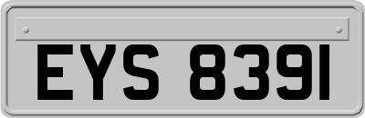EYS8391