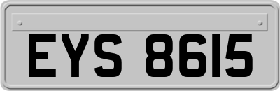 EYS8615