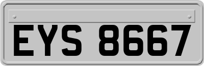 EYS8667